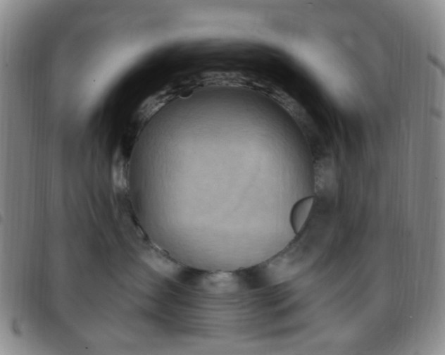 X0000097770431200803141749