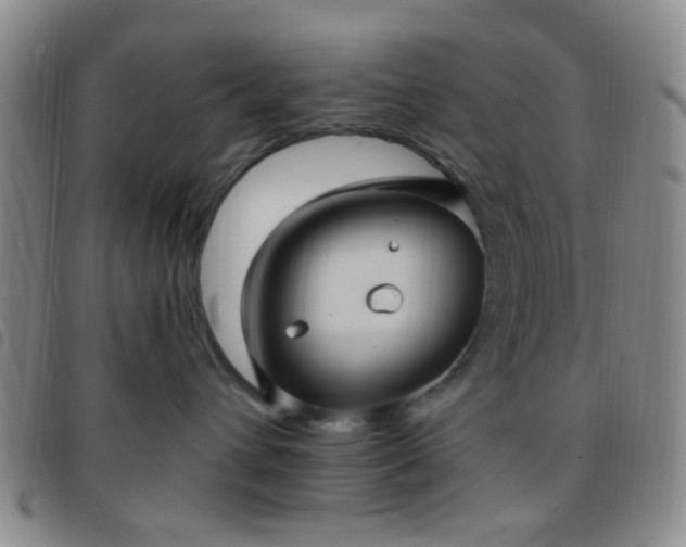X0000097770432200803141749