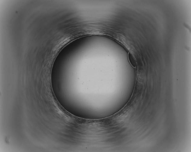 X0000097770433200803141748