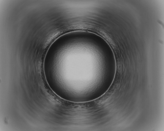 X0000097770434200803141749