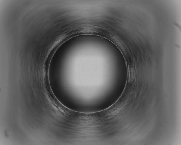 X0000097770435200803141749