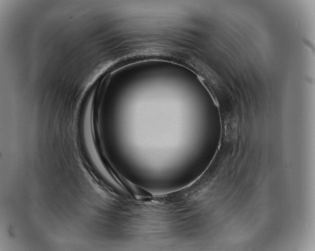 X0000097770436200803141749