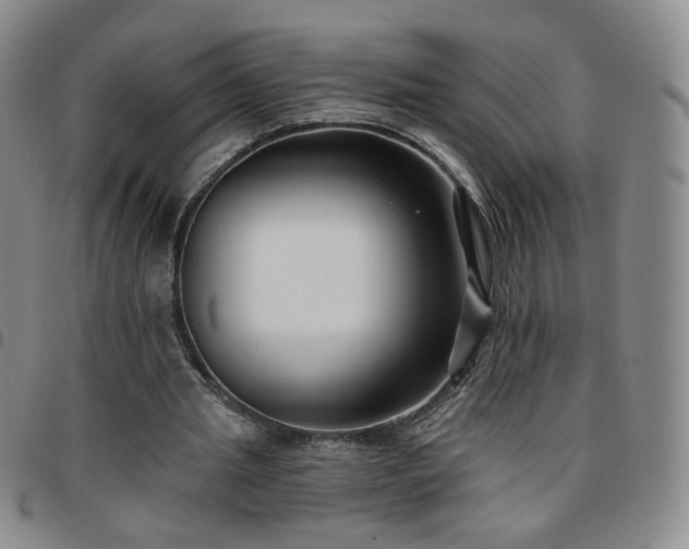 X0000097770437200803141749