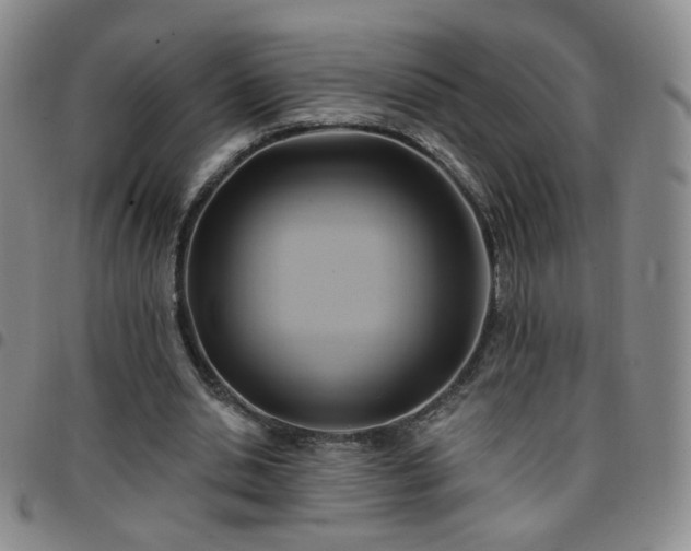 X0000097770438200803141749