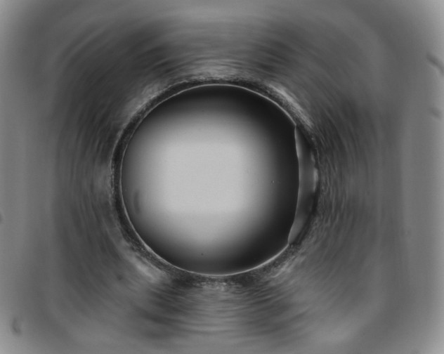 X0000097770439200803141749