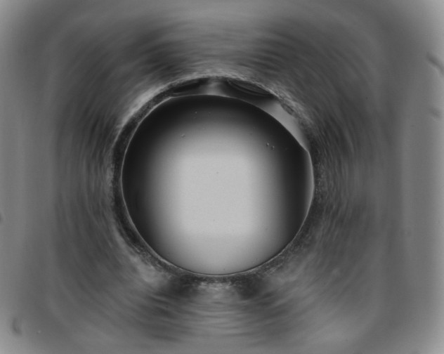 X0000097770440200803141749