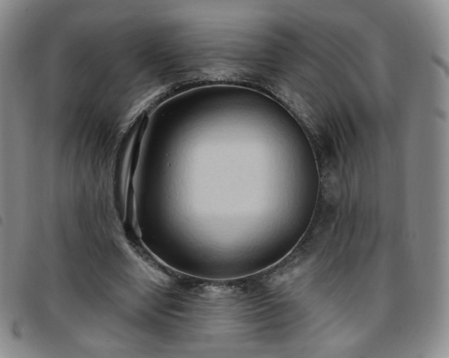 X0000097770442200803141749