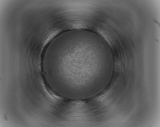 X0000097770443200803141749