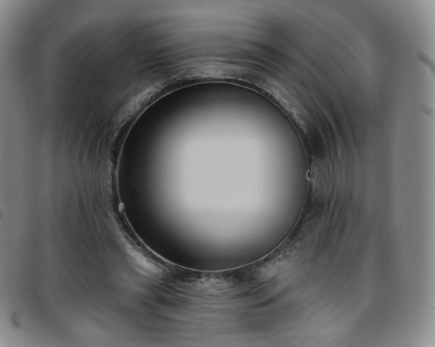 X0000097770445200803141749