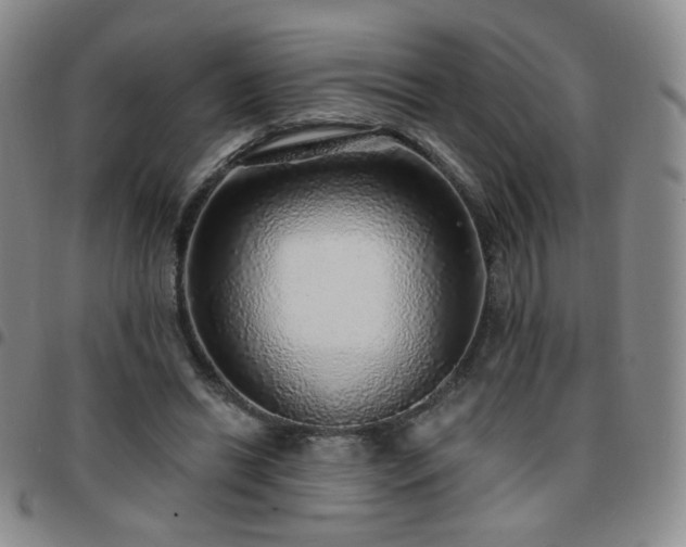 X0000097770446200803141749