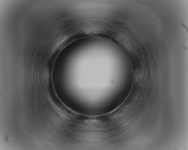 X0000097770448200803141749