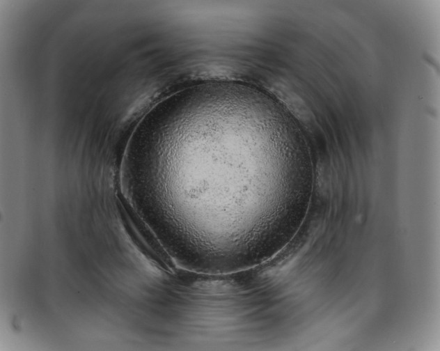 X0000097770449200803141749