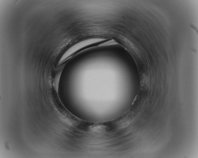 X0000097770452200803141749