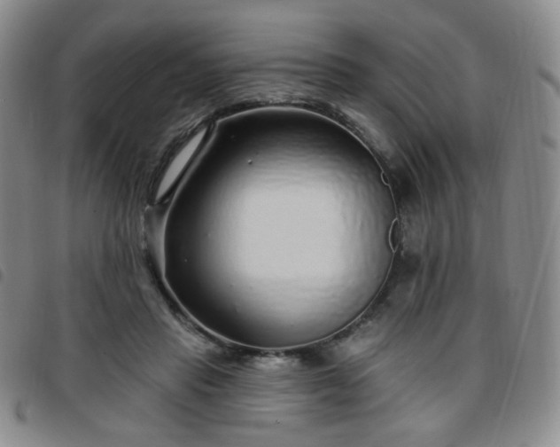 X0000097770453200803141749