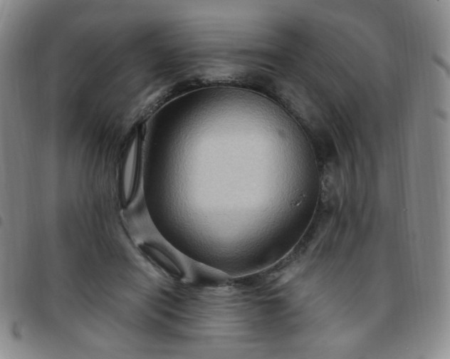 X0000097770454200803141749