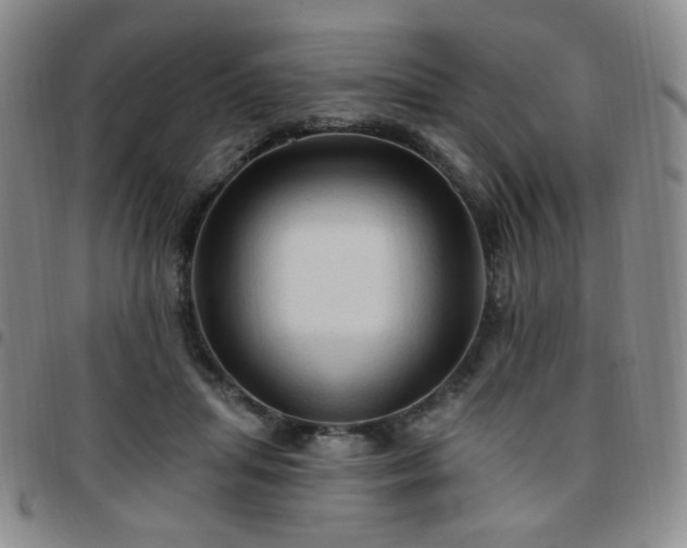 X0000097770455200803141749