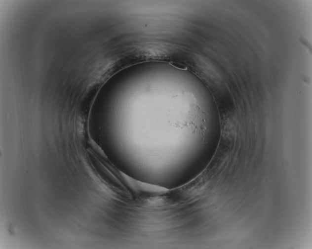 X0000097770456200803141749
