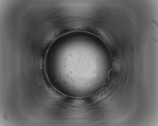 X0000097770458200803141749