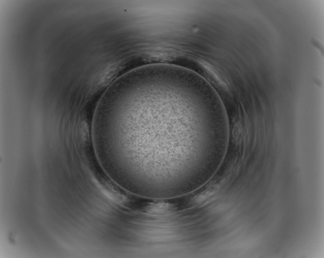 X0000097770459200803141749