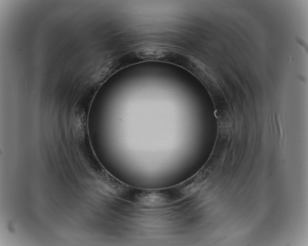 X0000097770460200803141749