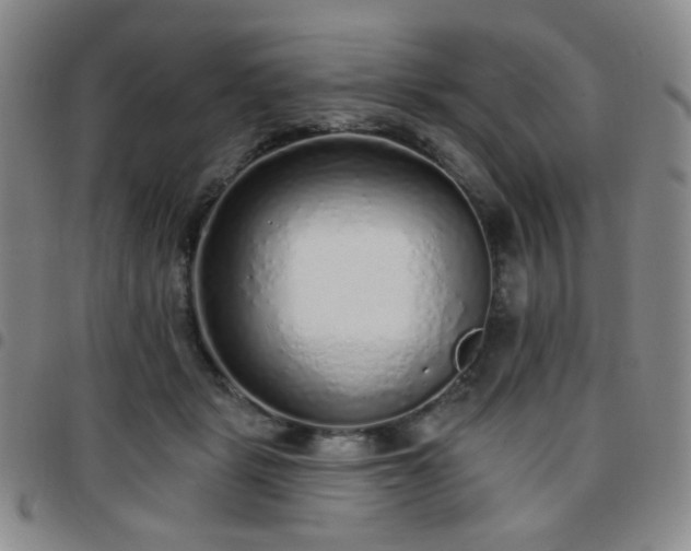 X0000097770461200803141749