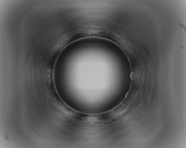 X0000097770462200803141749