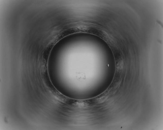 X0000097770464200803141749