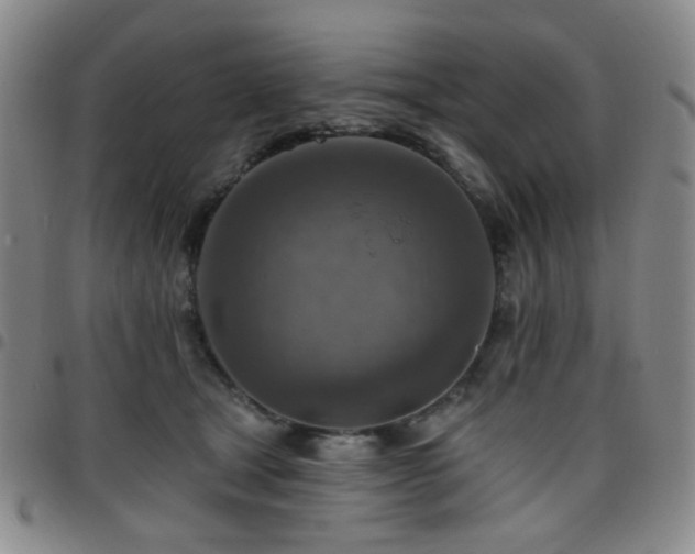X0000097770465200803141749
