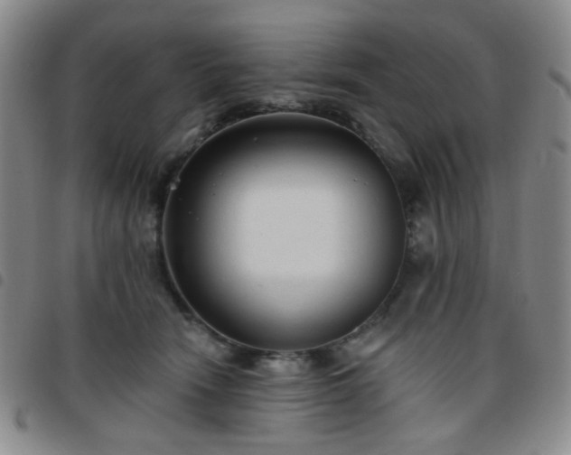 X0000097770466200803141749