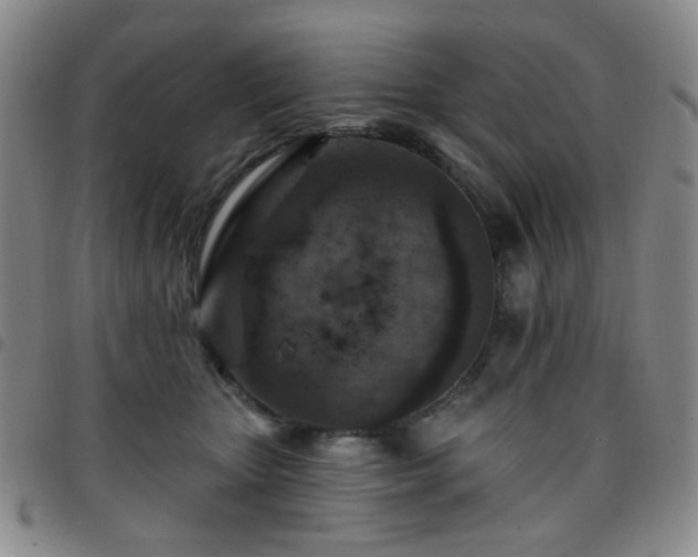 X0000097770467200803141749