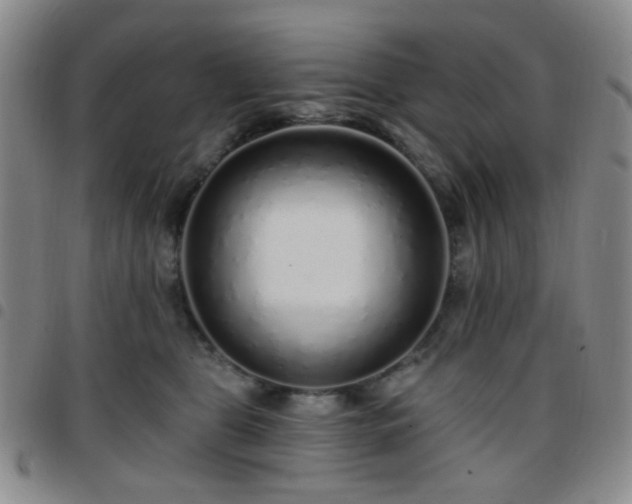 X0000097770469200803141749