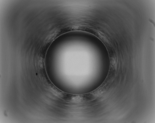X0000097770470200803141749