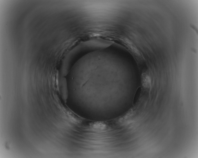 X0000097770471200803141749