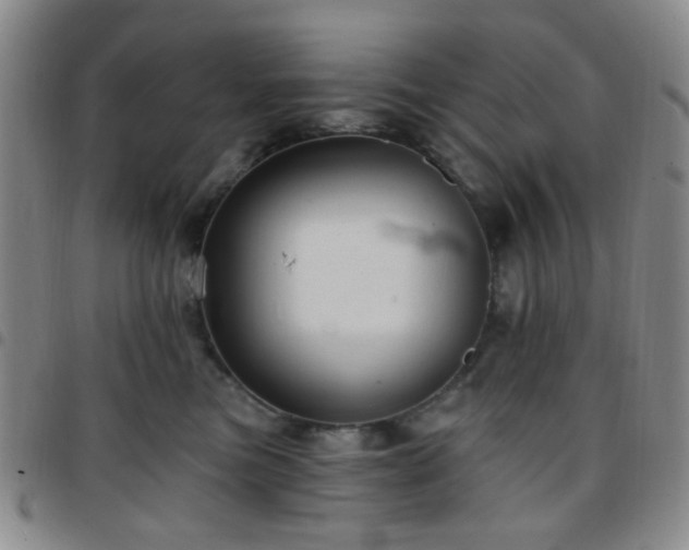 X0000097770473200803141749