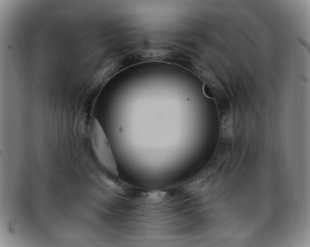X0000097770474200803141749
