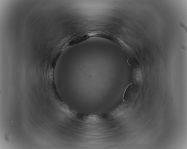 X0000097770475200803141749