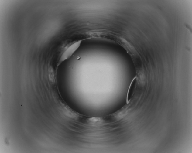 X0000097770477200803141749