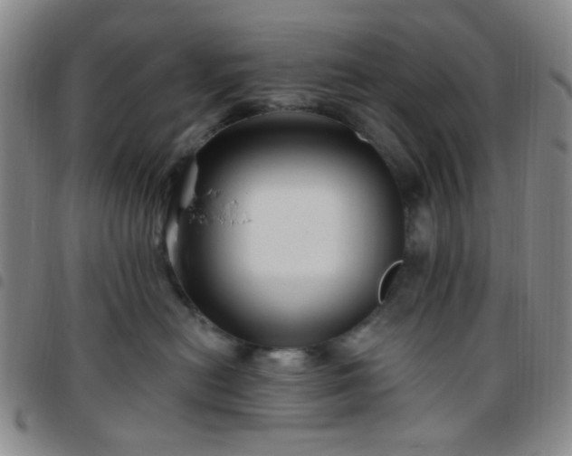 X0000097770478200803141749