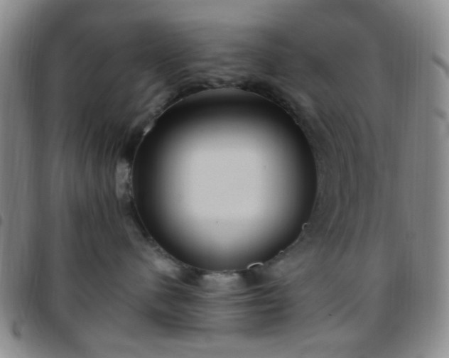 X0000097770480200803141749