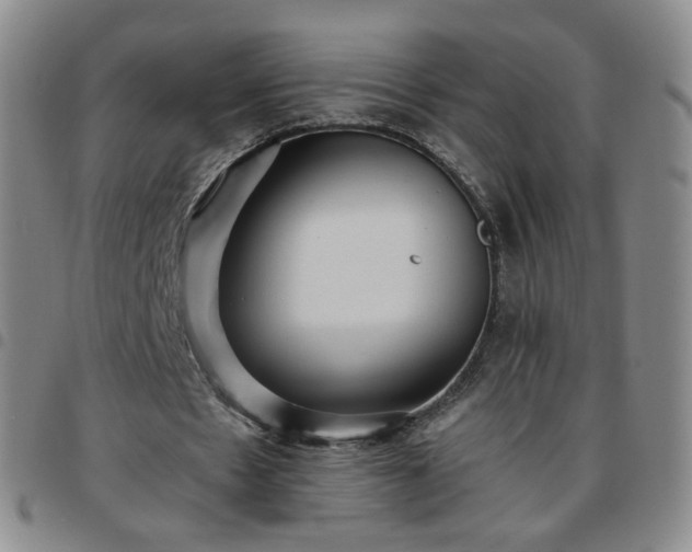 X0000097770481200803141748