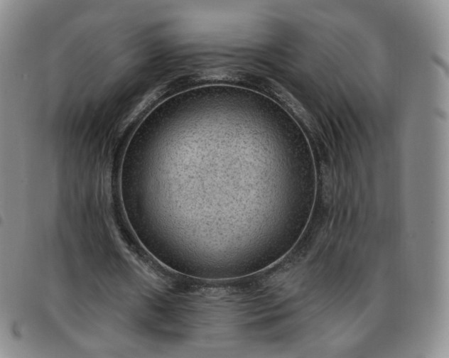 X0000097770482200803141748