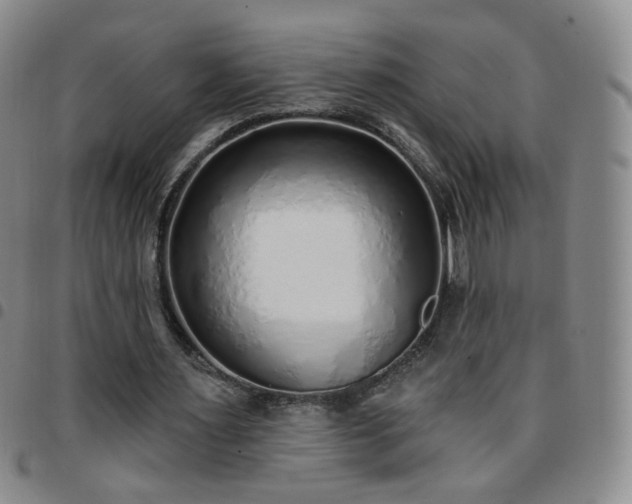 X0000097770483200803141748