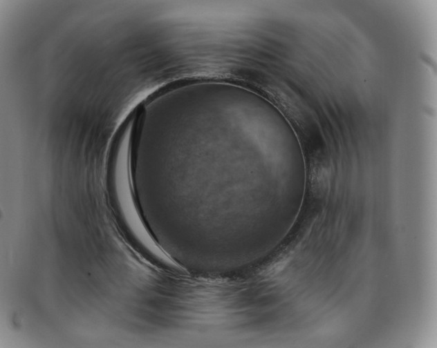 X0000097770484200803141748