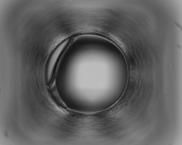 X0000097770485200803141748