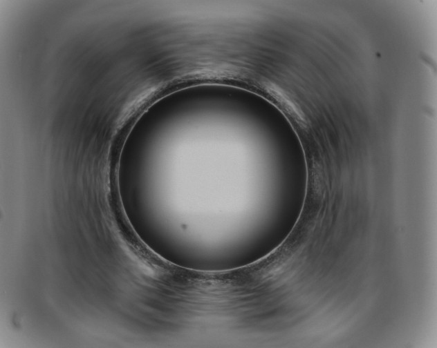 X0000097770486200803141748