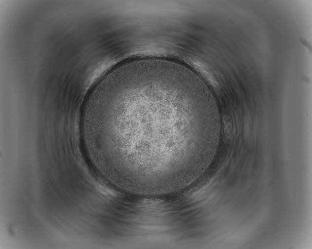 X0000097770487200803141748