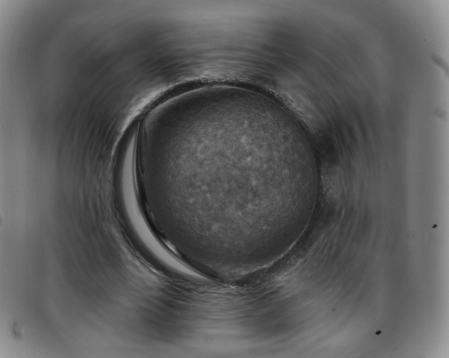 X0000097770488200803141748