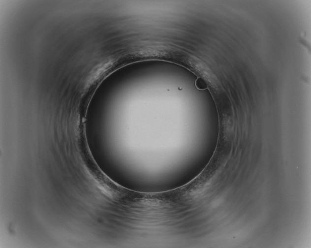 X0000097770490200803141748