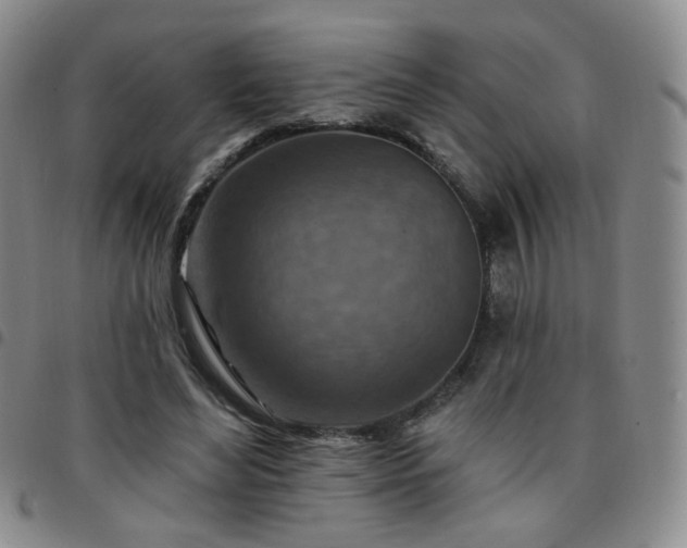 X0000097770492200803141748
