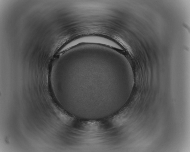 X0000097770493200803141748